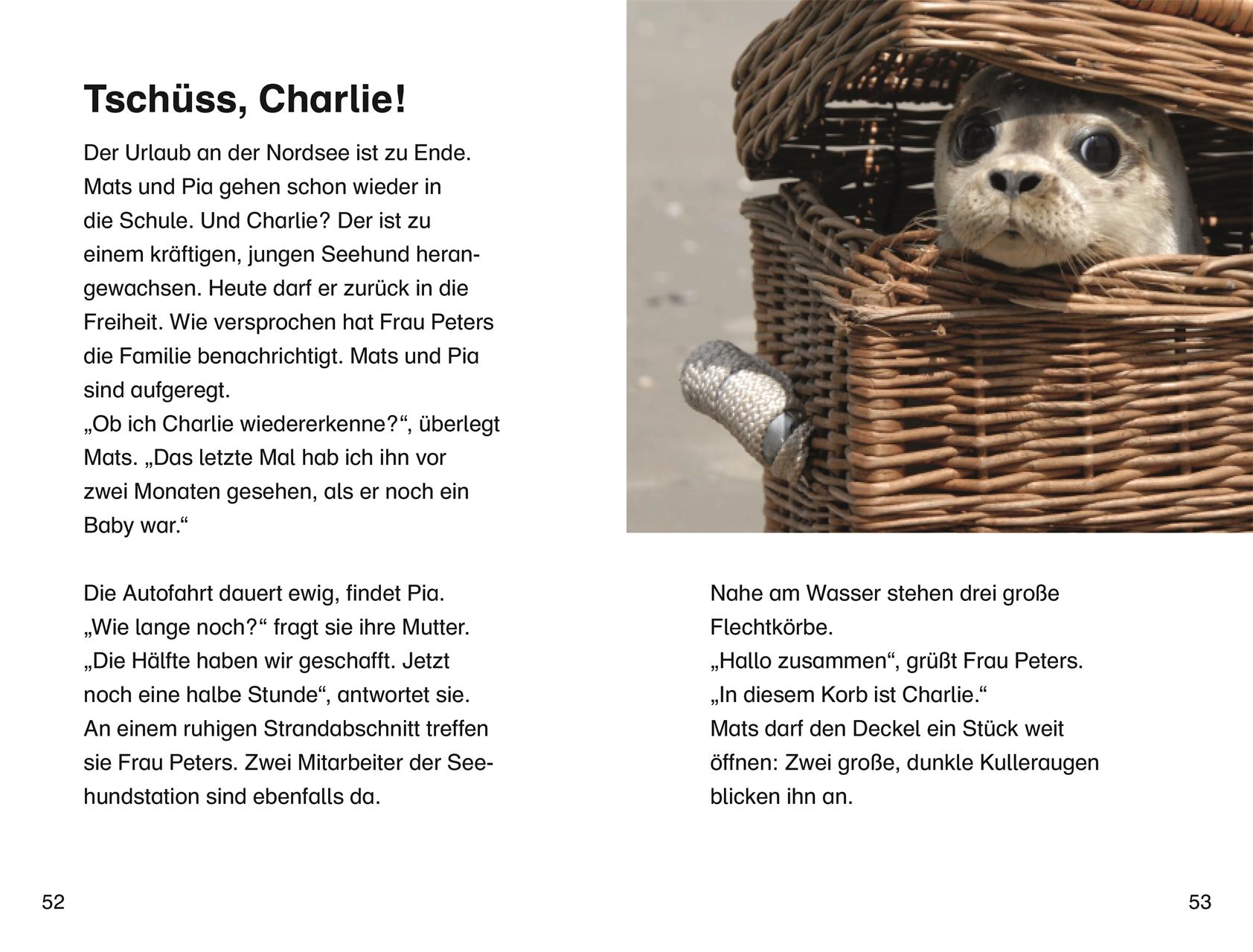 Beispielinhalt (Bild) SUPERLESER! Mats und Pia retten eine Robbe