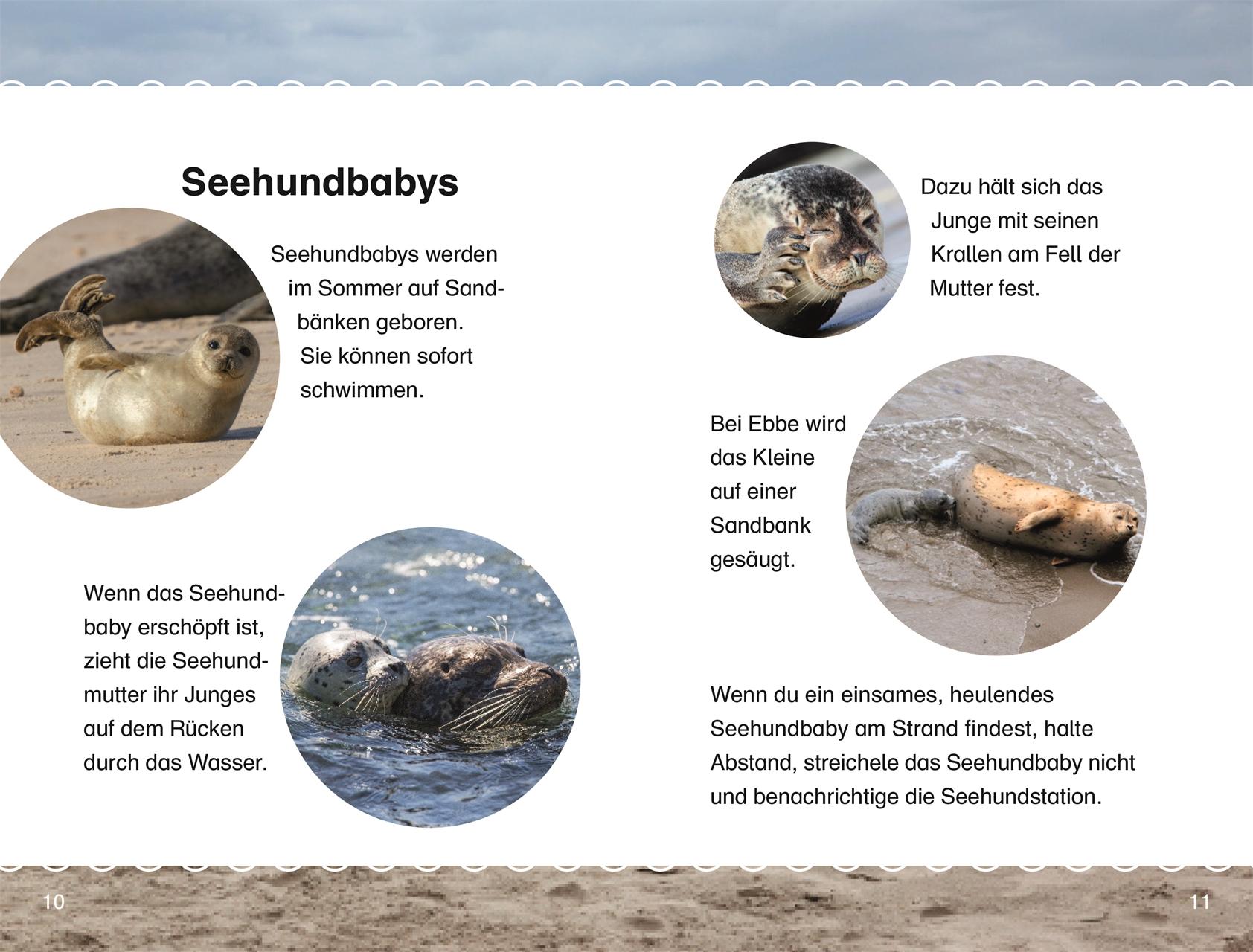 Beispielinhalt (Bild) SUPERLESER! Mats und Pia retten eine Robbe