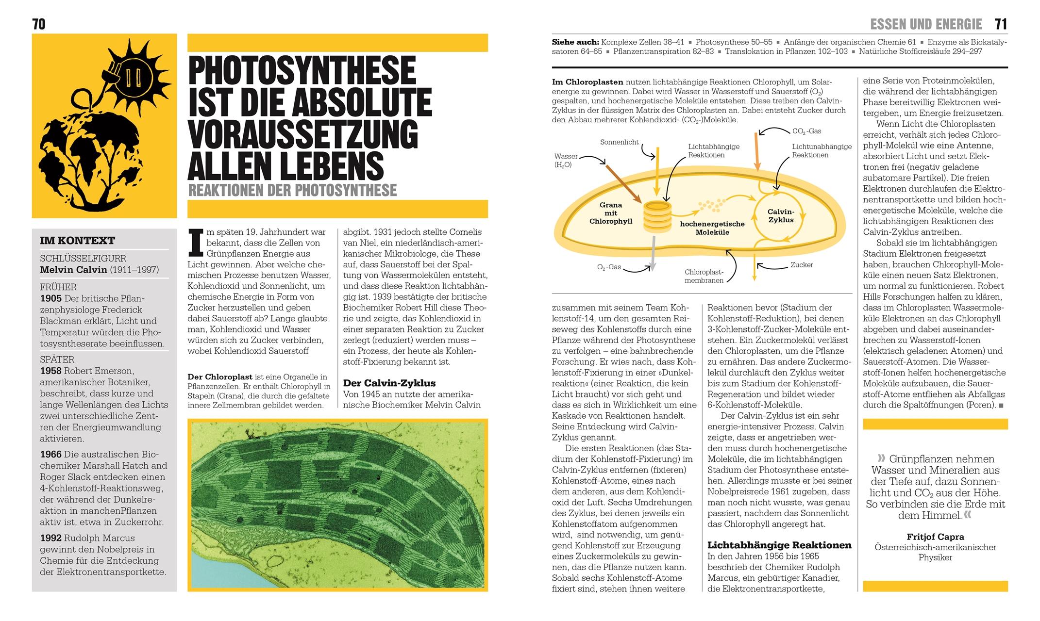 Beispielinhalt (Bild) Big Ideas. Das Biologie-Buch