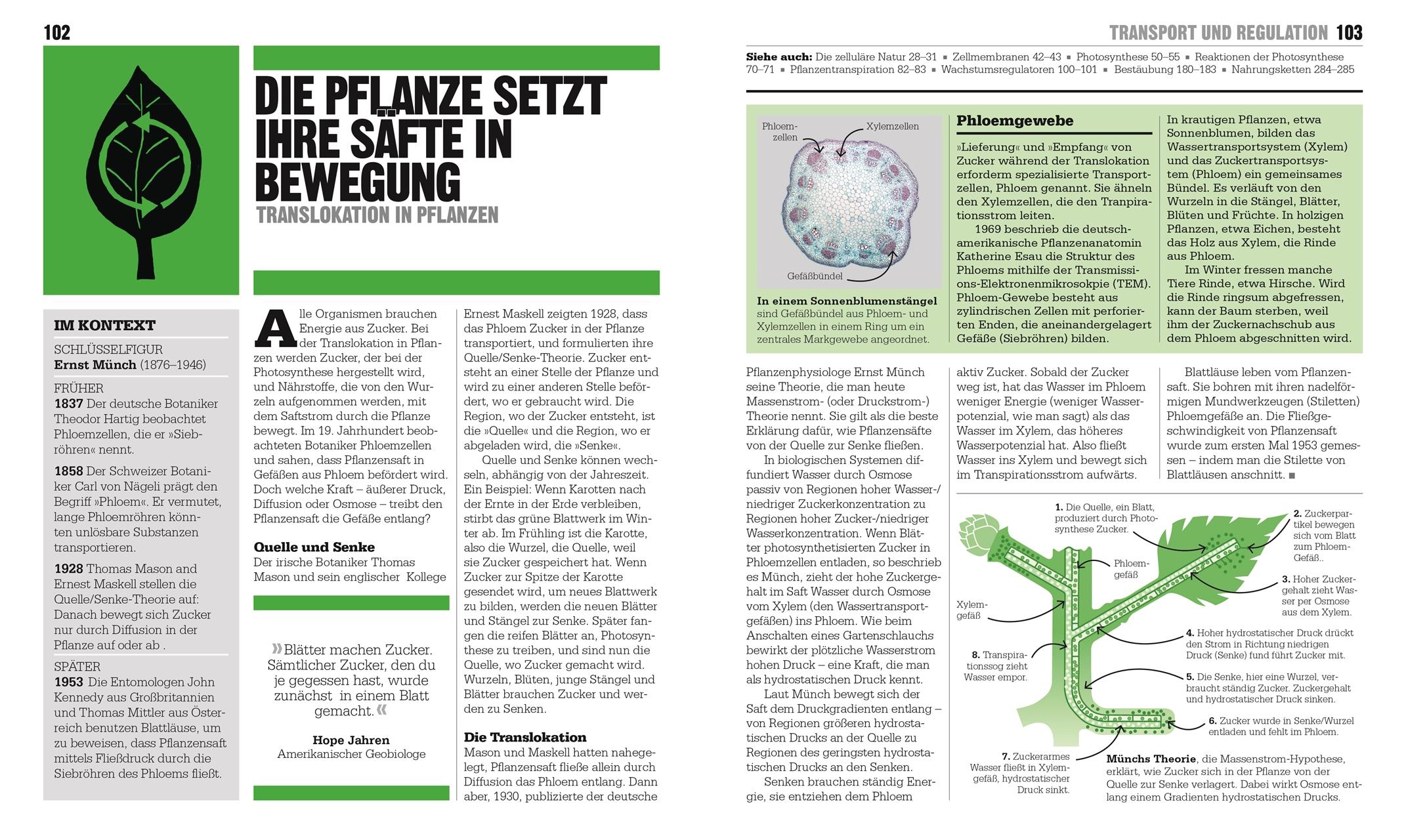 Beispielinhalt (Bild) Big Ideas. Das Biologie-Buch