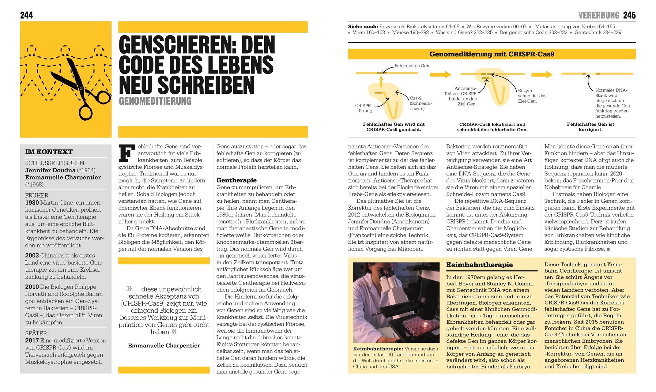 Beispielinhalt (Bild) Big Ideas. Das Biologie-Buch