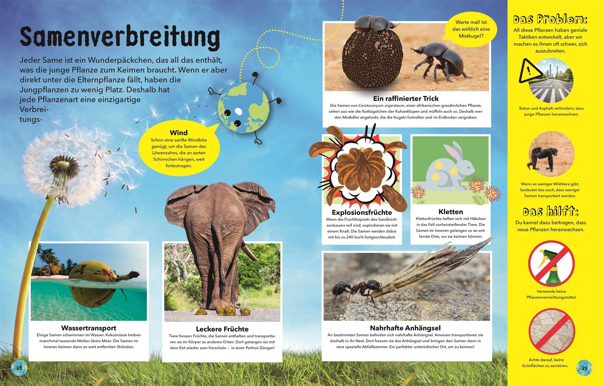 Beispielinhalt (Bild) So wunderbar ist unsere Welt!