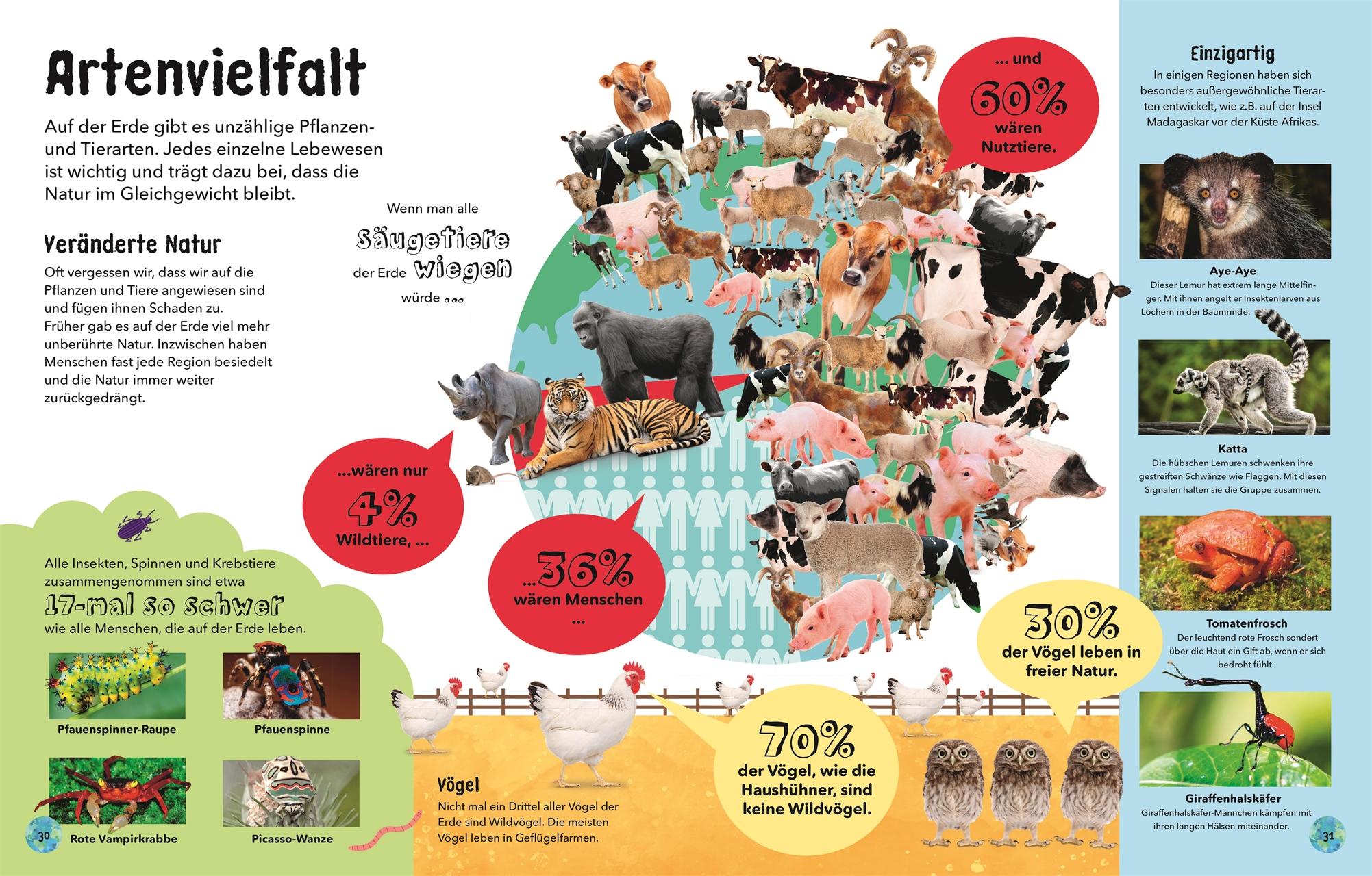 Beispielinhalt (Bild) So wunderbar ist unsere Welt!