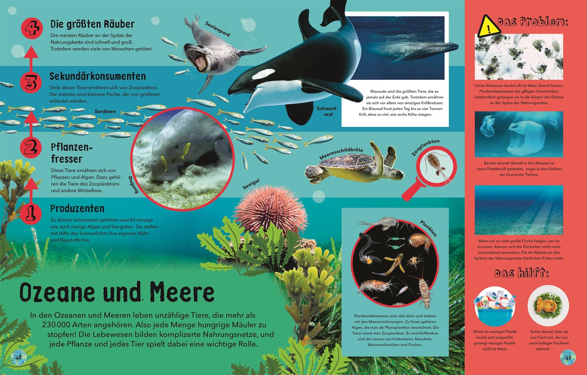 Beispielinhalt (Bild) So wunderbar ist unsere Welt!