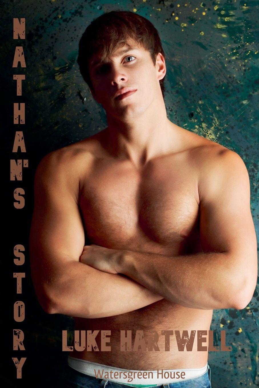 Vorderes Coverbild Nathan's Story