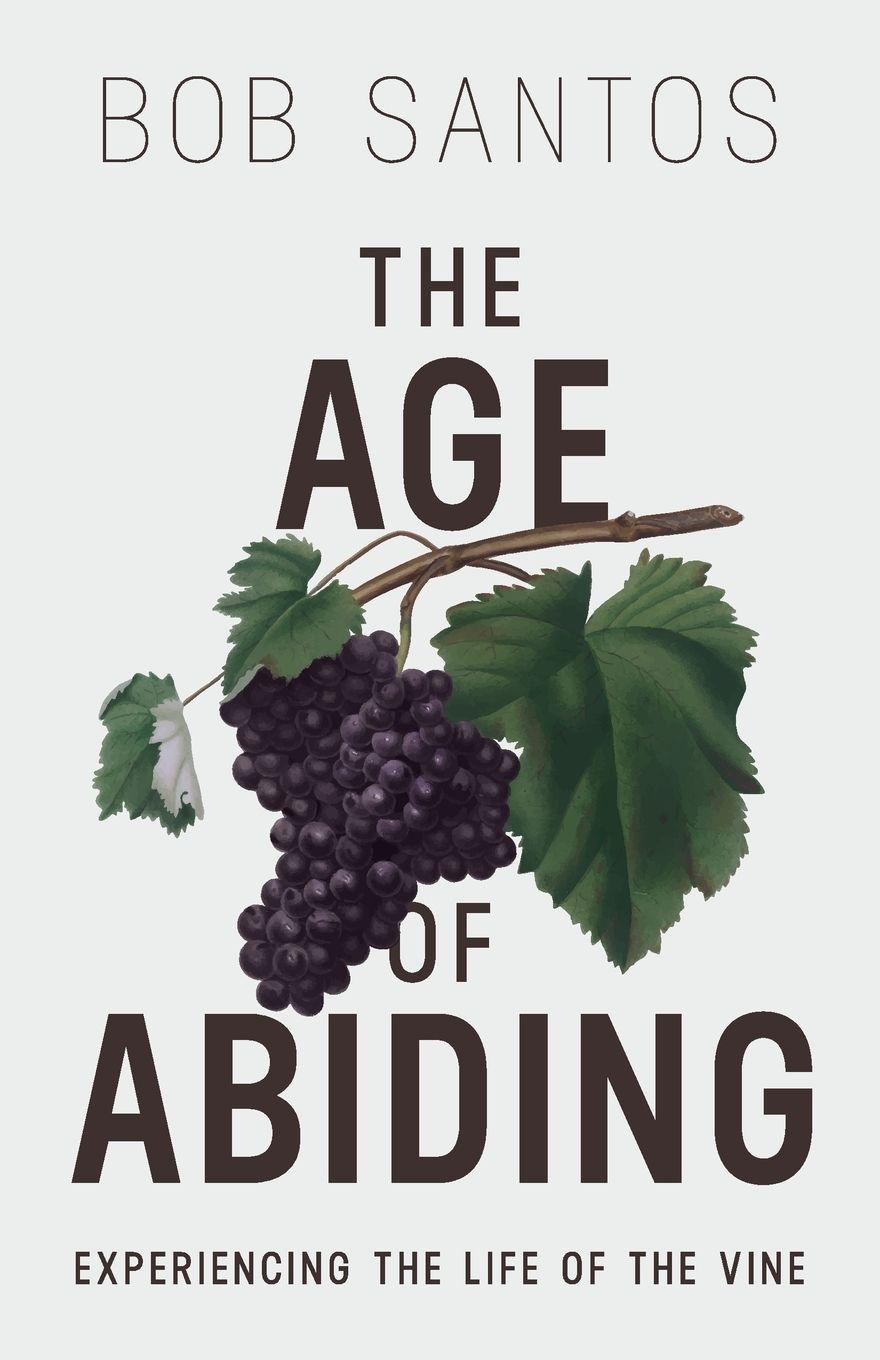 Vorderes Coverbild The Age of Abiding