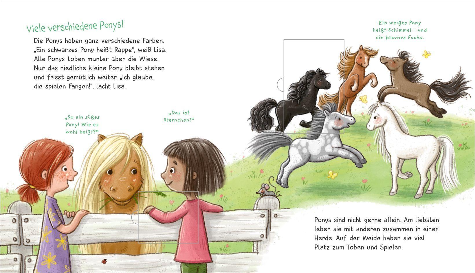 Beispielinhalt (Bild) WAS IST WAS Meine Welt Band 7 Ich mag Ponys!