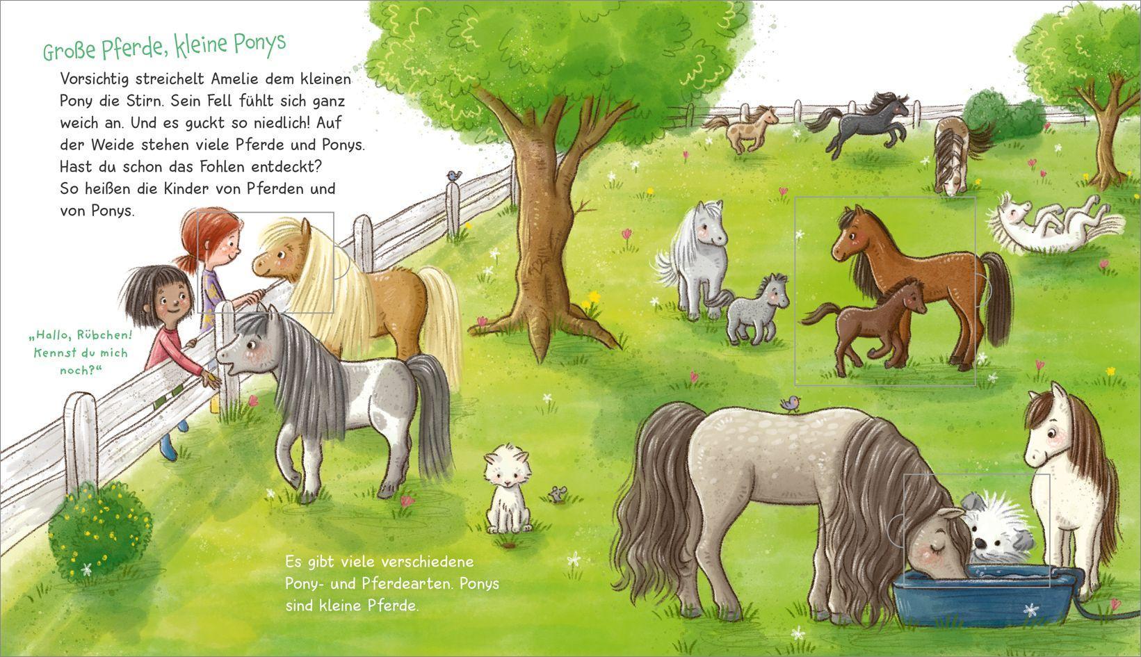 Beispielinhalt (Bild) WAS IST WAS Meine Welt Band 7 Ich mag Ponys!
