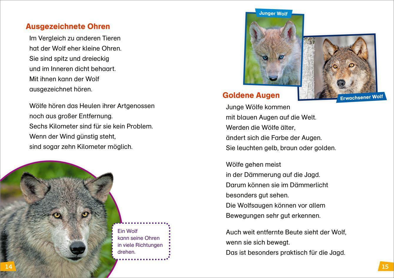 Beispielinhalt (Bild) WAS IST WAS Erstes Lesen Band 20. Wölfe
