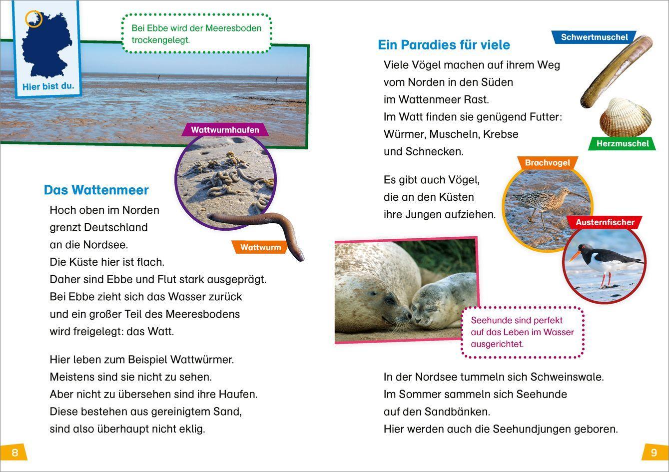 Beispielinhalt (Bild) WAS IST WAS Erstes Lesen Band 21. Deutschland