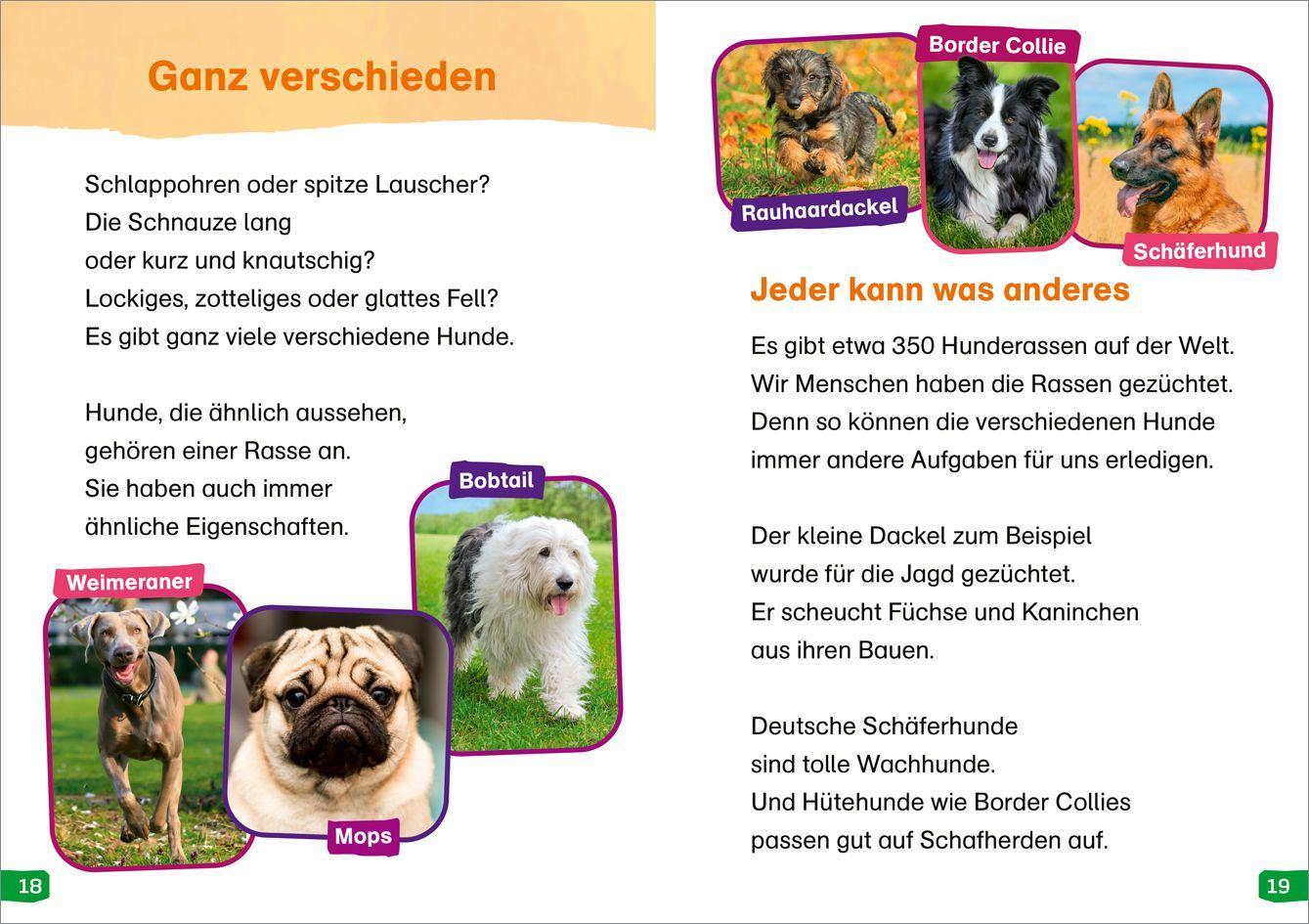 Beispielinhalt (Bild) WAS IST WAS Erstes Lesen easy! Band 9. Hunde - meine Lieblingstiere