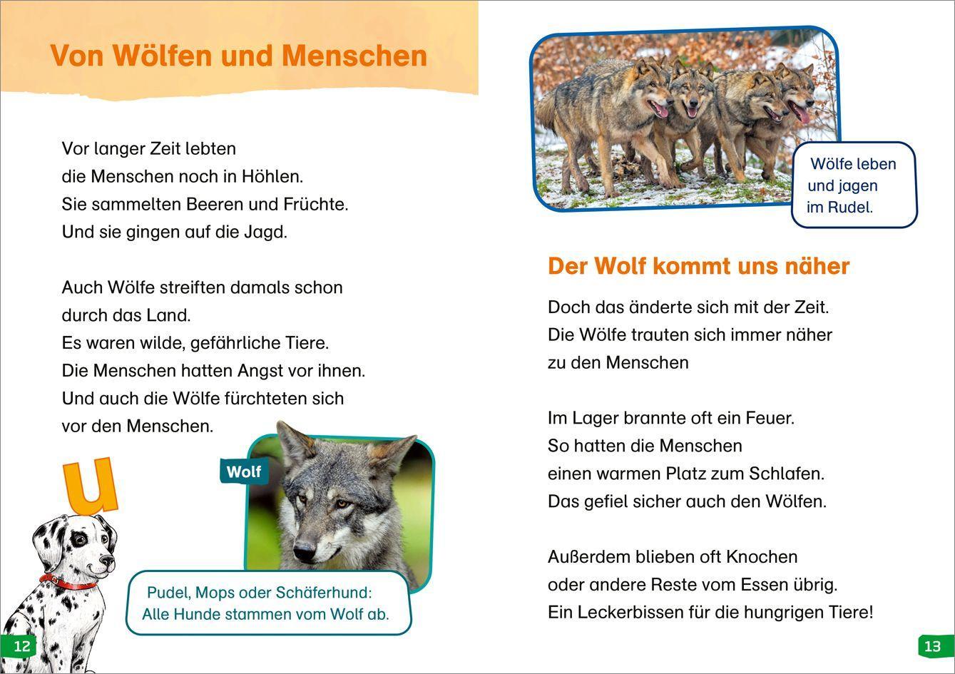 Beispielinhalt (Bild) WAS IST WAS Erstes Lesen easy! Band 9. Hunde - meine Lieblingstiere