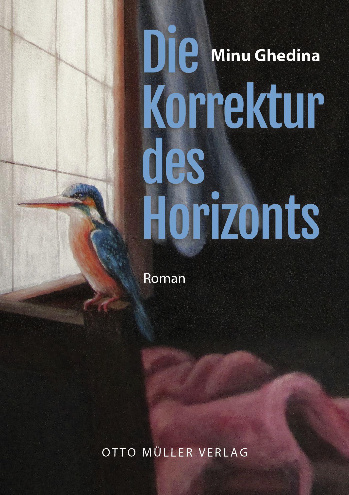 Vorderes Coverbild Die Korrektur des Horizonts