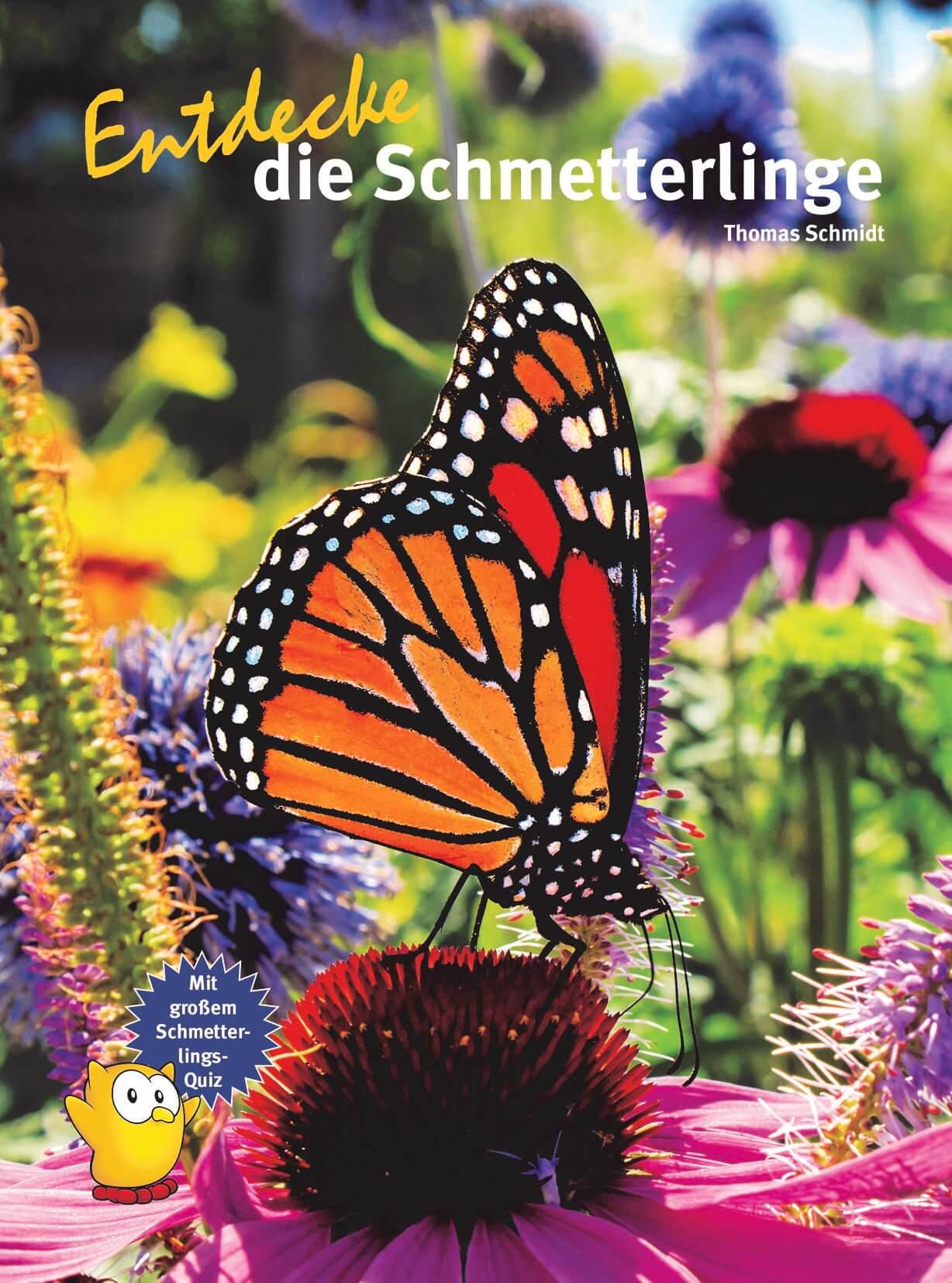 Vorderes Coverbild Entdecke die Schmetterlinge