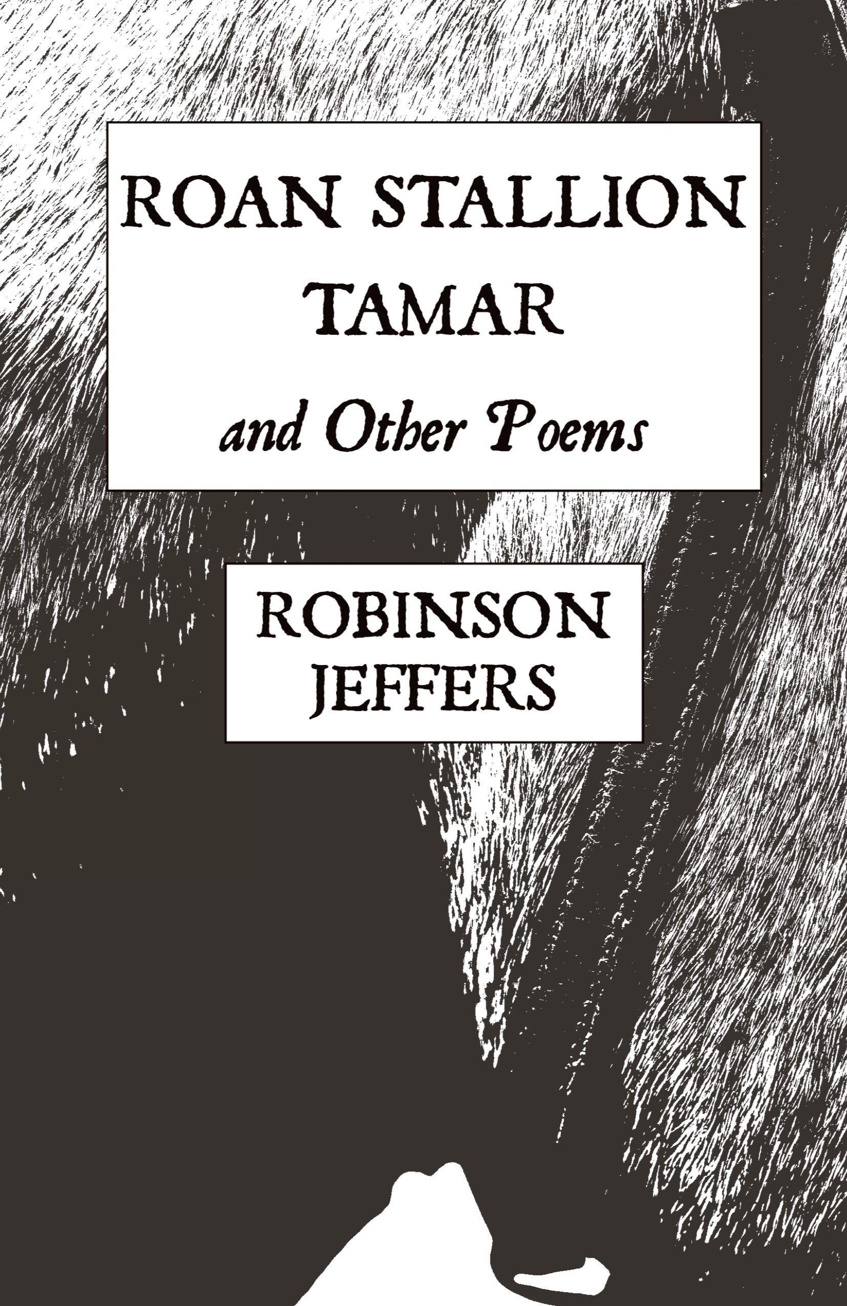 Vorderes Coverbild Roan Stallion, Tamar and Other Poems