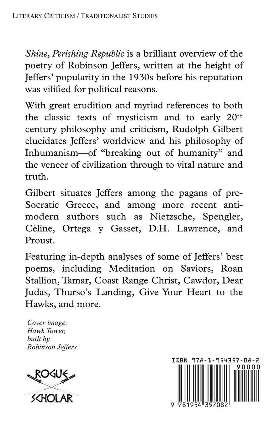 Rückseitencover Shine, Perishing Republic