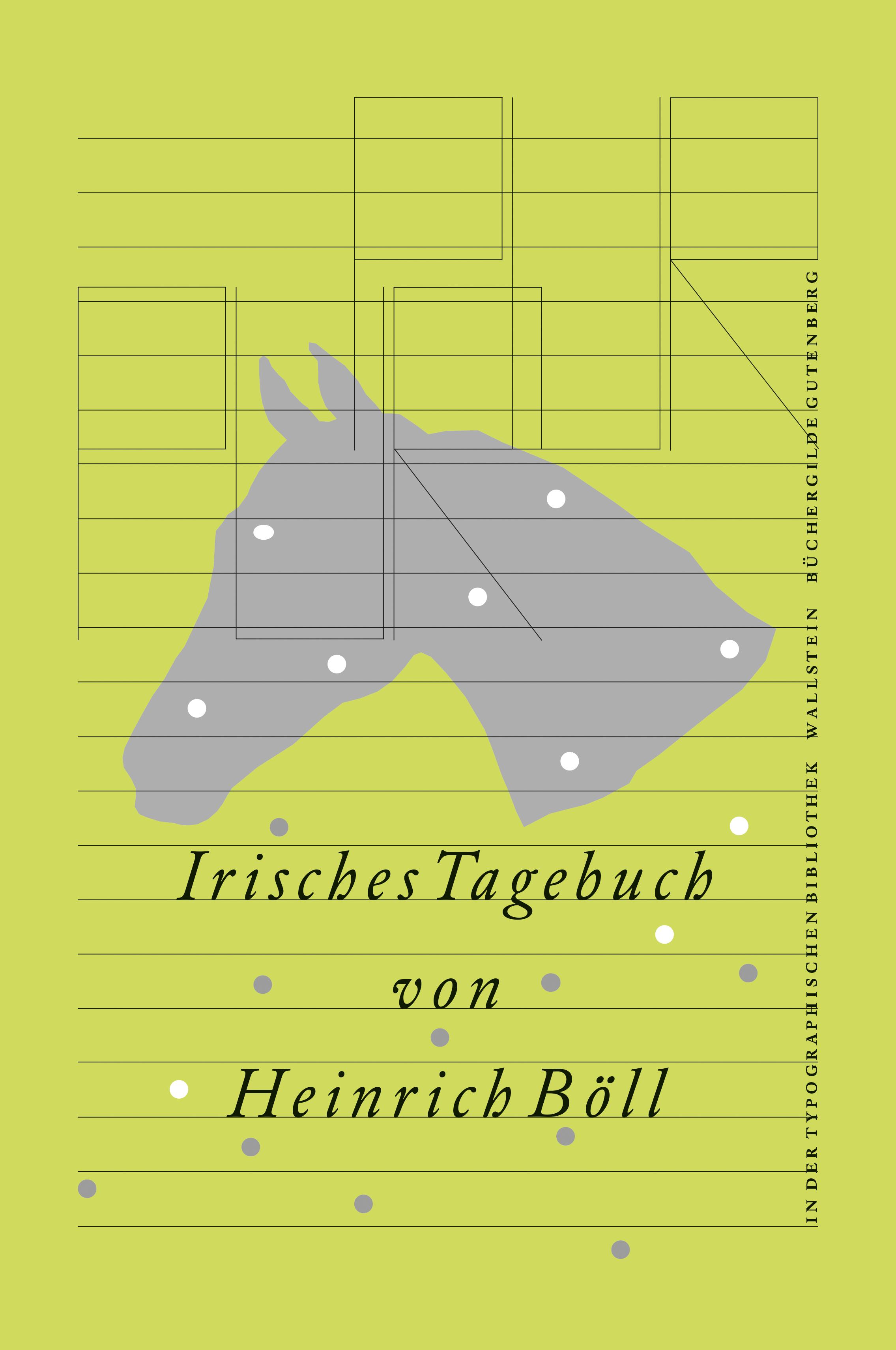 Vorderes Coverbild Irisches Tagebuch