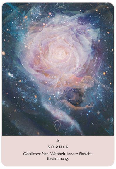 Beispielinhalt (Bild) Das Orakel der Rose