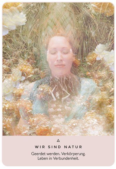 Beispielinhalt (Bild) Das Orakel der Rose