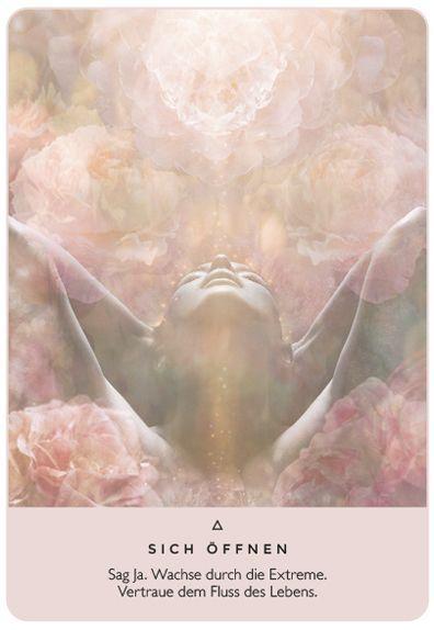 Beispielinhalt (Bild) Das Orakel der Rose