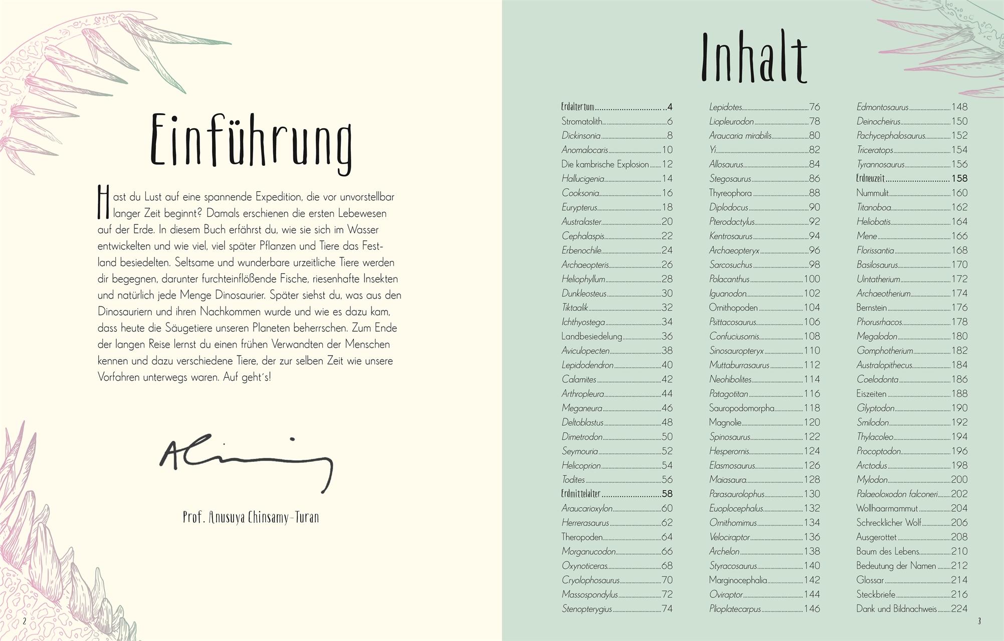 Beispielinhalt (Bild) Wundervolle Welt der Dinosaurier und der Urzeit