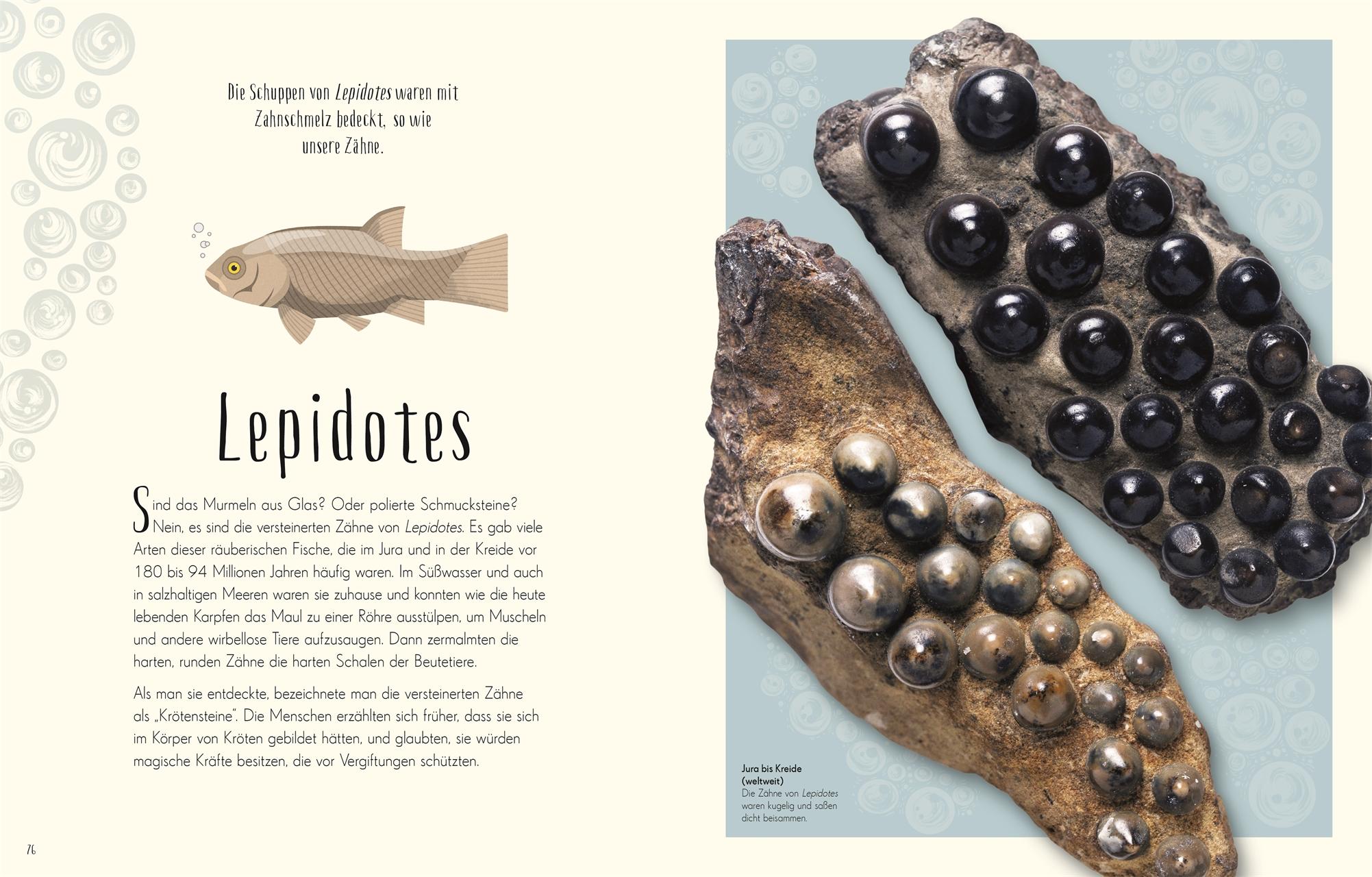 Beispielinhalt (Bild) Wundervolle Welt der Dinosaurier und der Urzeit