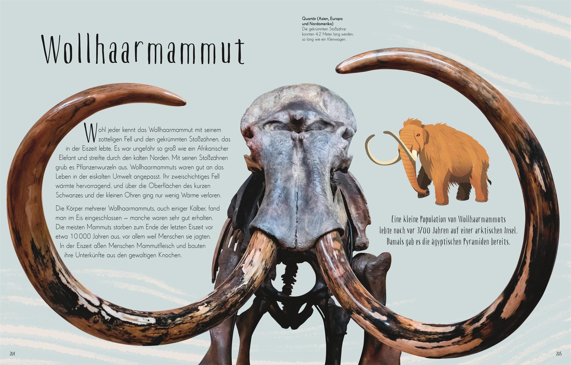 Beispielinhalt (Bild) Wundervolle Welt der Dinosaurier und der Urzeit