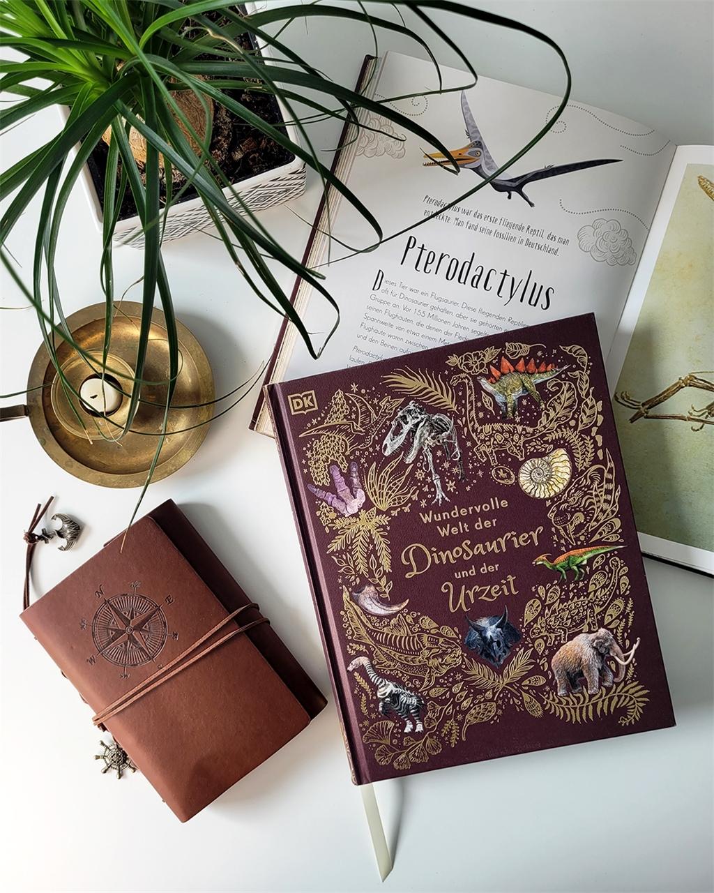 Beispielinhalt (Bild) Wundervolle Welt der Dinosaurier und der Urzeit