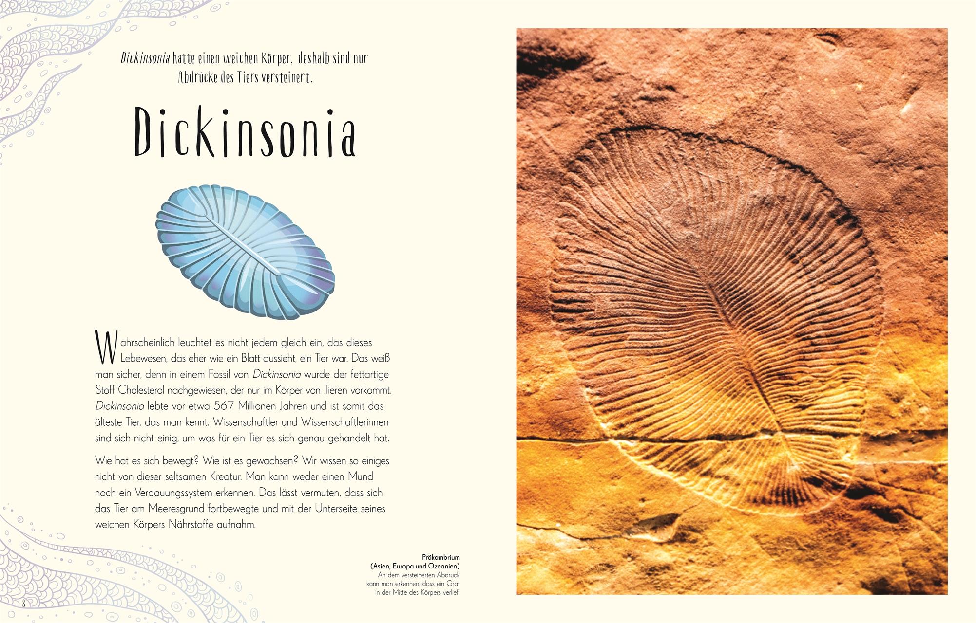 Beispielinhalt (Bild) Wundervolle Welt der Dinosaurier und der Urzeit