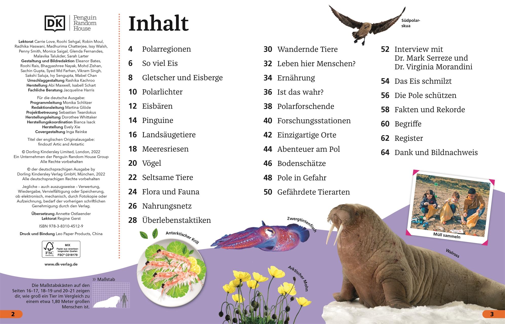 Beispielinhalt (Bild) Superchecker! Arktis und Antarktis
