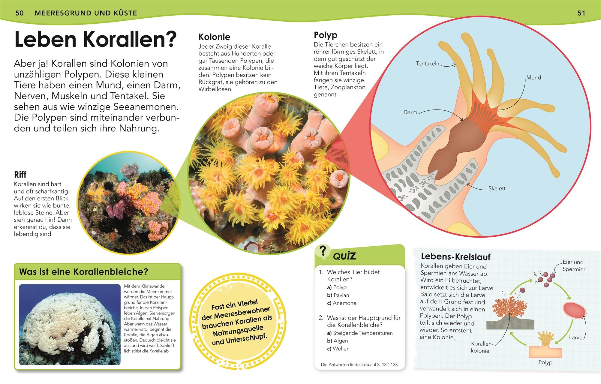 Beispielinhalt (Bild) Weshalb? Deshalb! Meere