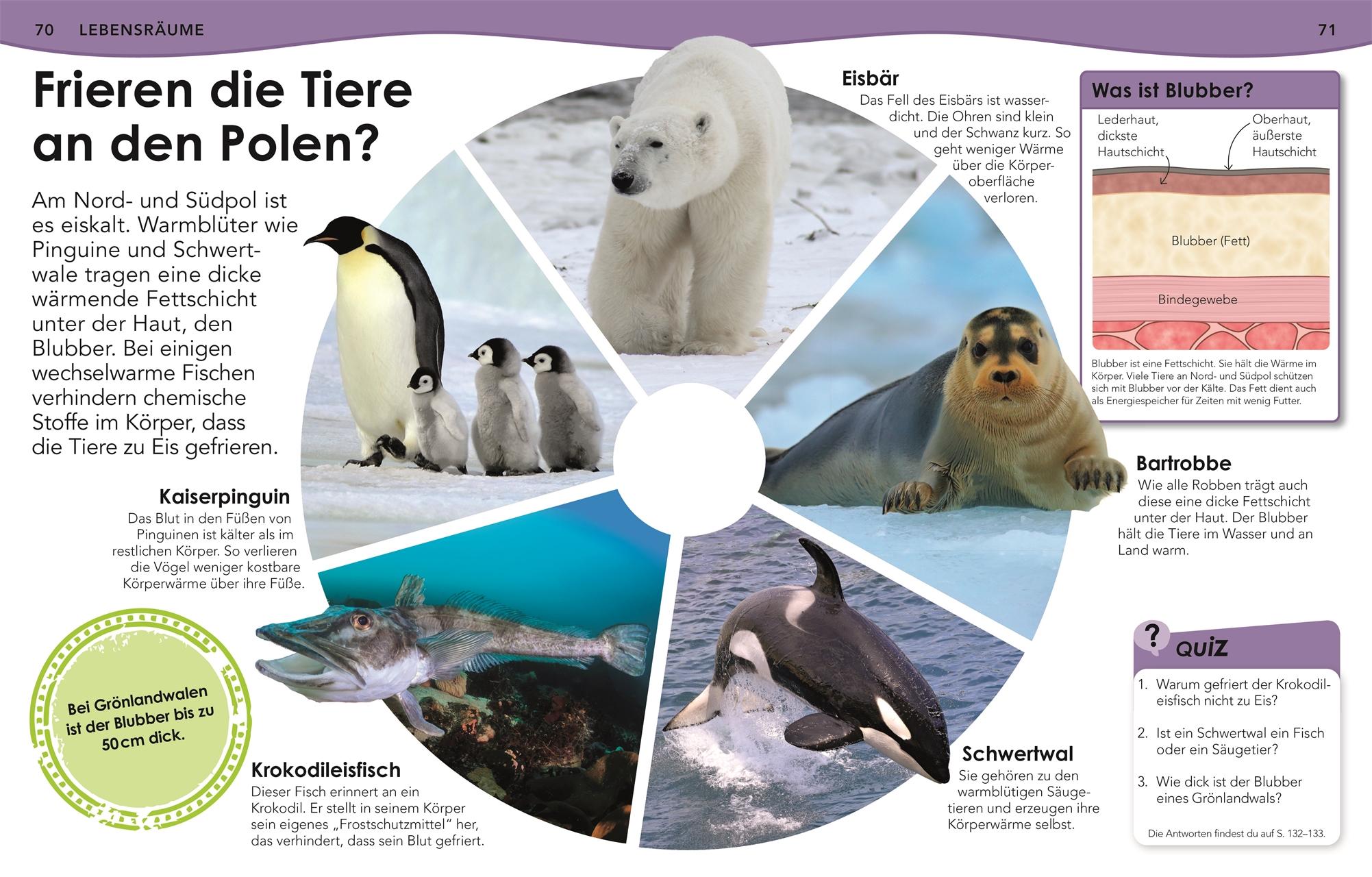 Beispielinhalt (Bild) Weshalb? Deshalb! Meere