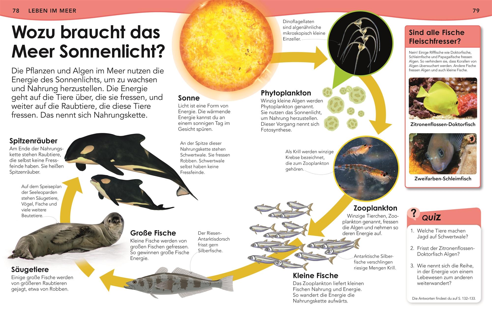 Beispielinhalt (Bild) Weshalb? Deshalb! Meere
