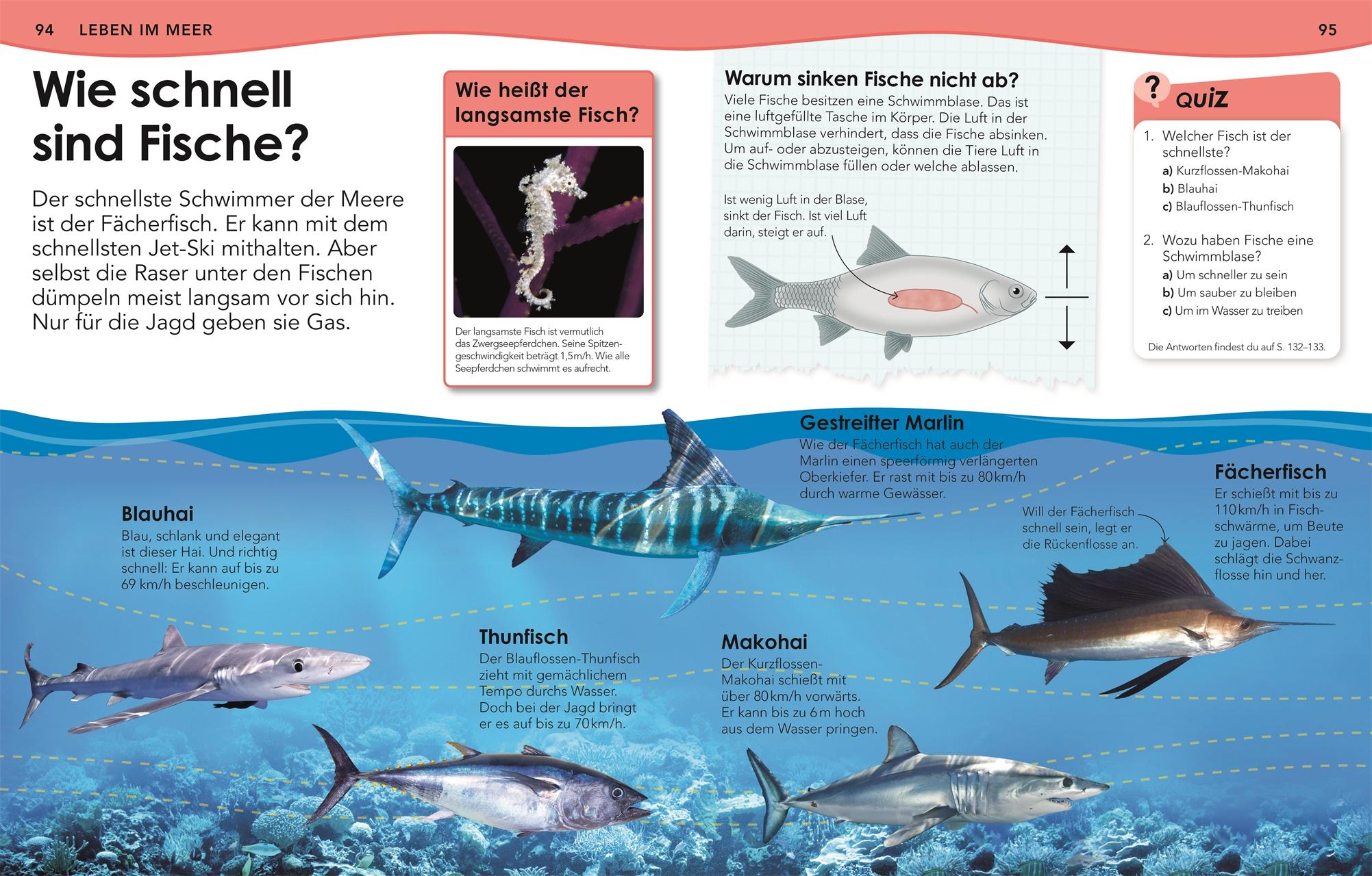 Beispielinhalt (Bild) Weshalb? Deshalb! Meere