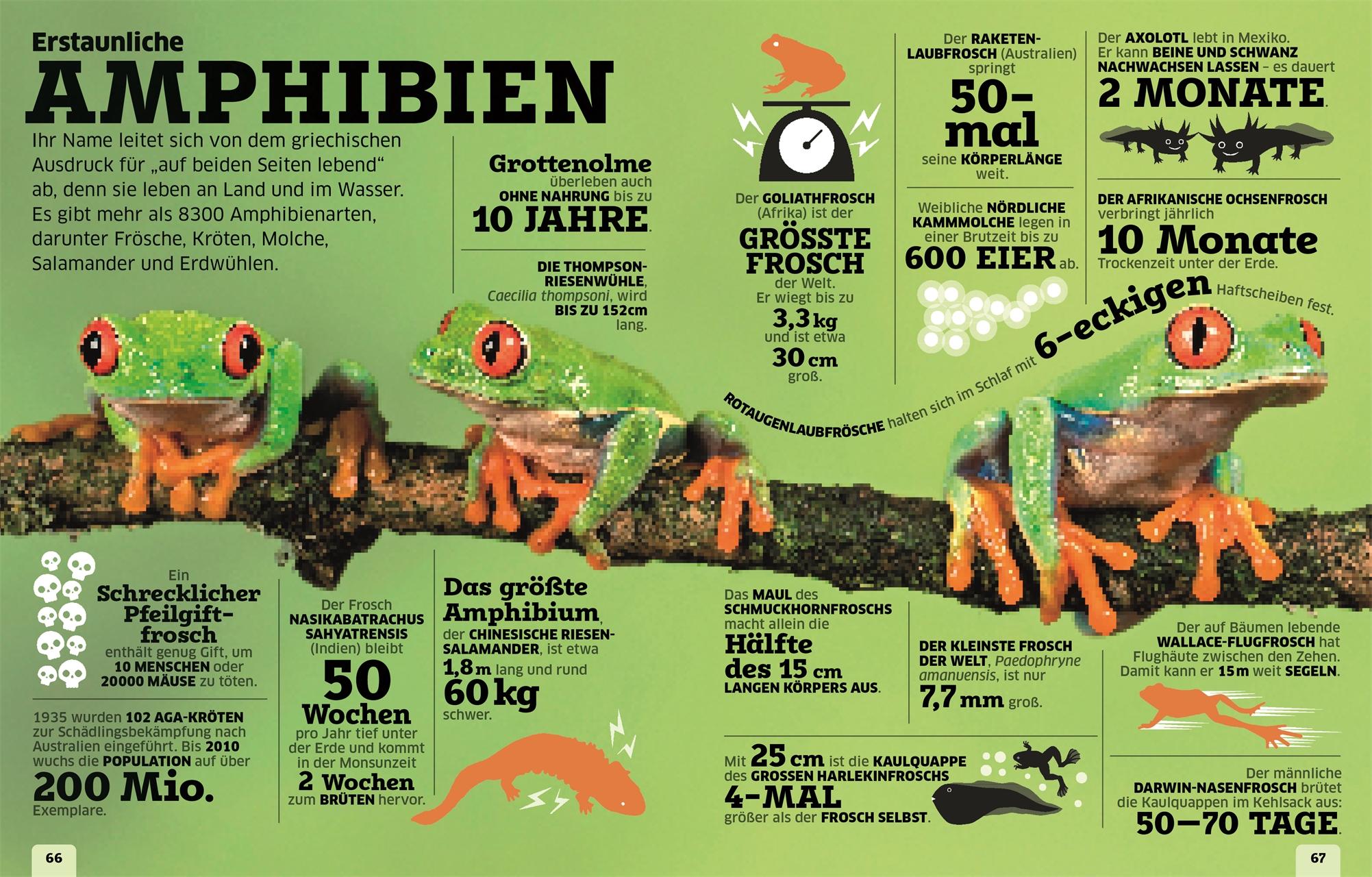 Beispielinhalt (Bild) Unsere Welt in Zahlen