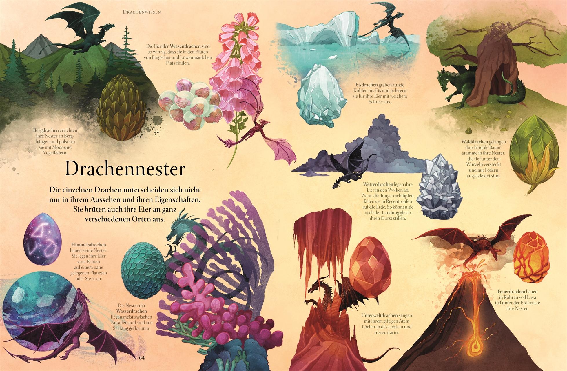 Beispielinhalt (Bild) Magische Welt der Drachen