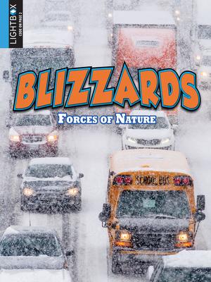 Vorderes Coverbild Blizzards