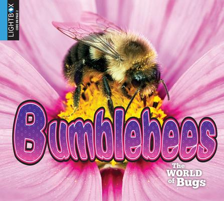 Vorderes Coverbild Bumblebees