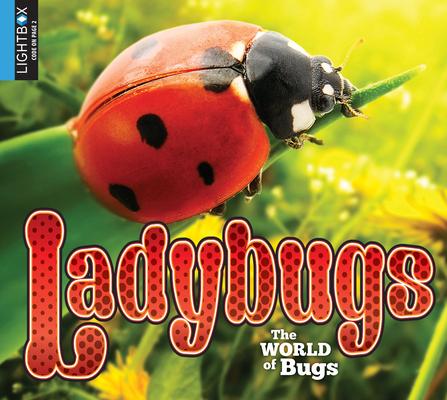 Vorderes Coverbild Ladybugs