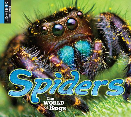 Vorderes Coverbild Spiders