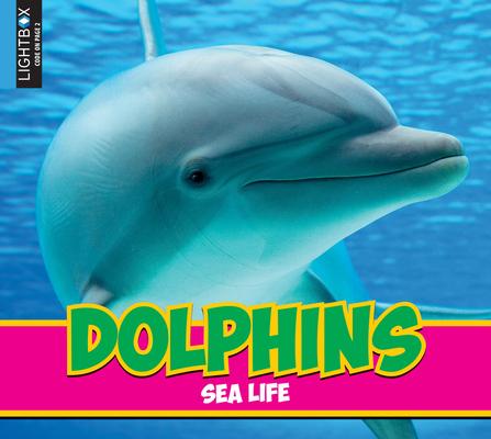 Vorderes Coverbild Dolphins
