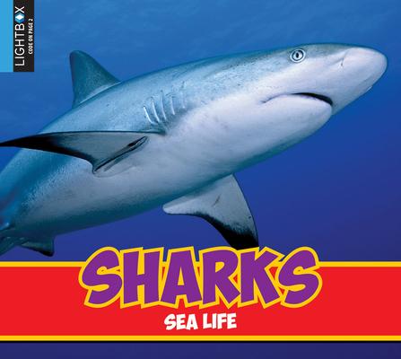 Vorderes Coverbild Sharks