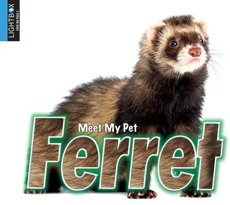 Vorderes Coverbild Ferret