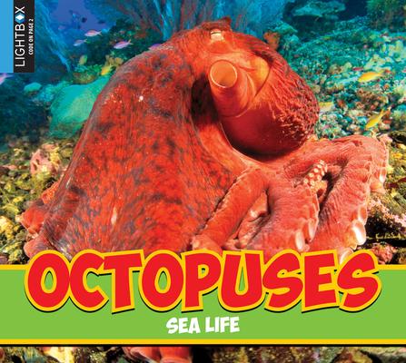 Vorderes Coverbild Octopuses