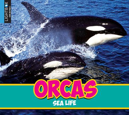 Vorderes Coverbild Orcas