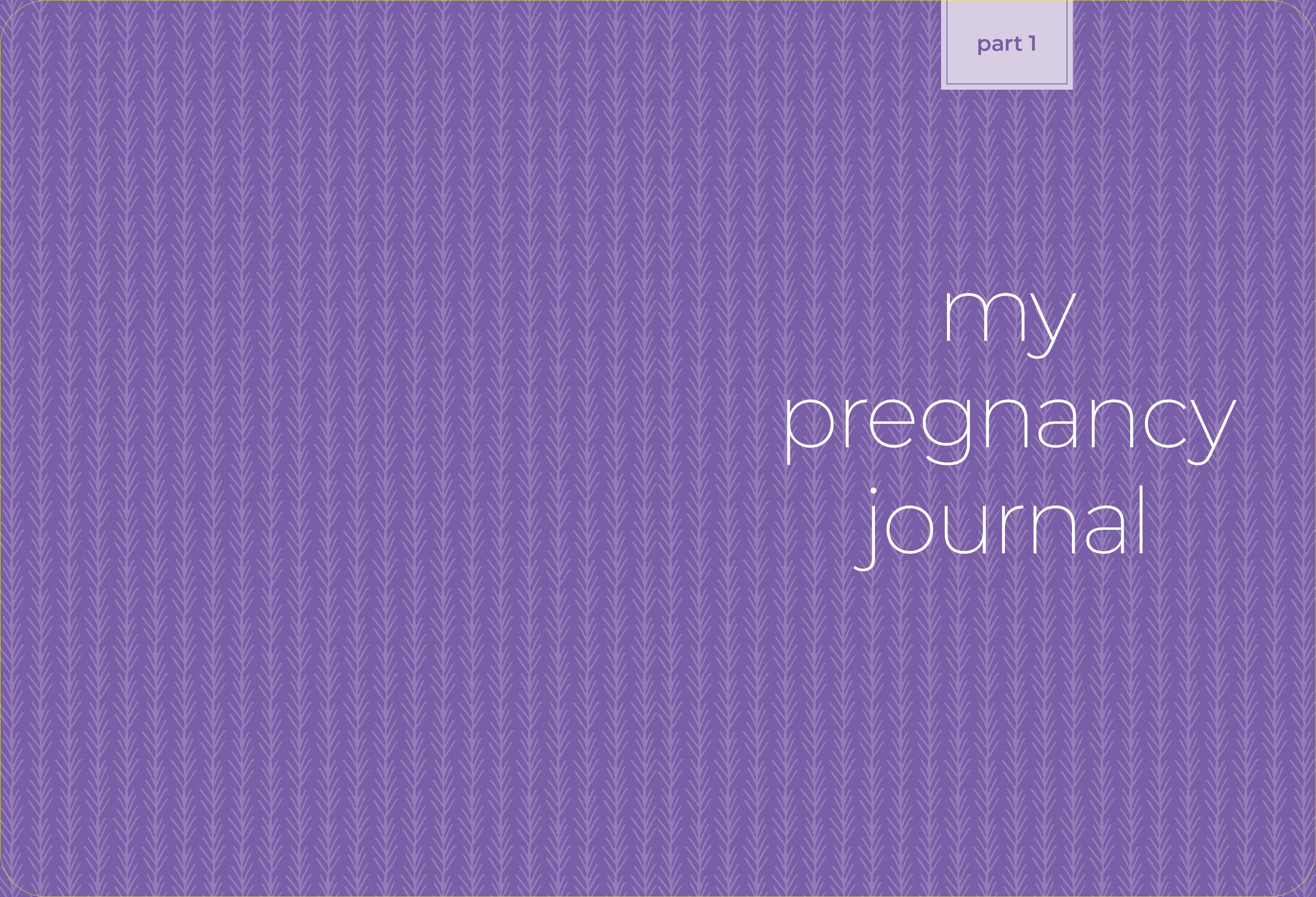 Beispielinhalt (Bild) What to Expect Pregnancy Journal and Organizer