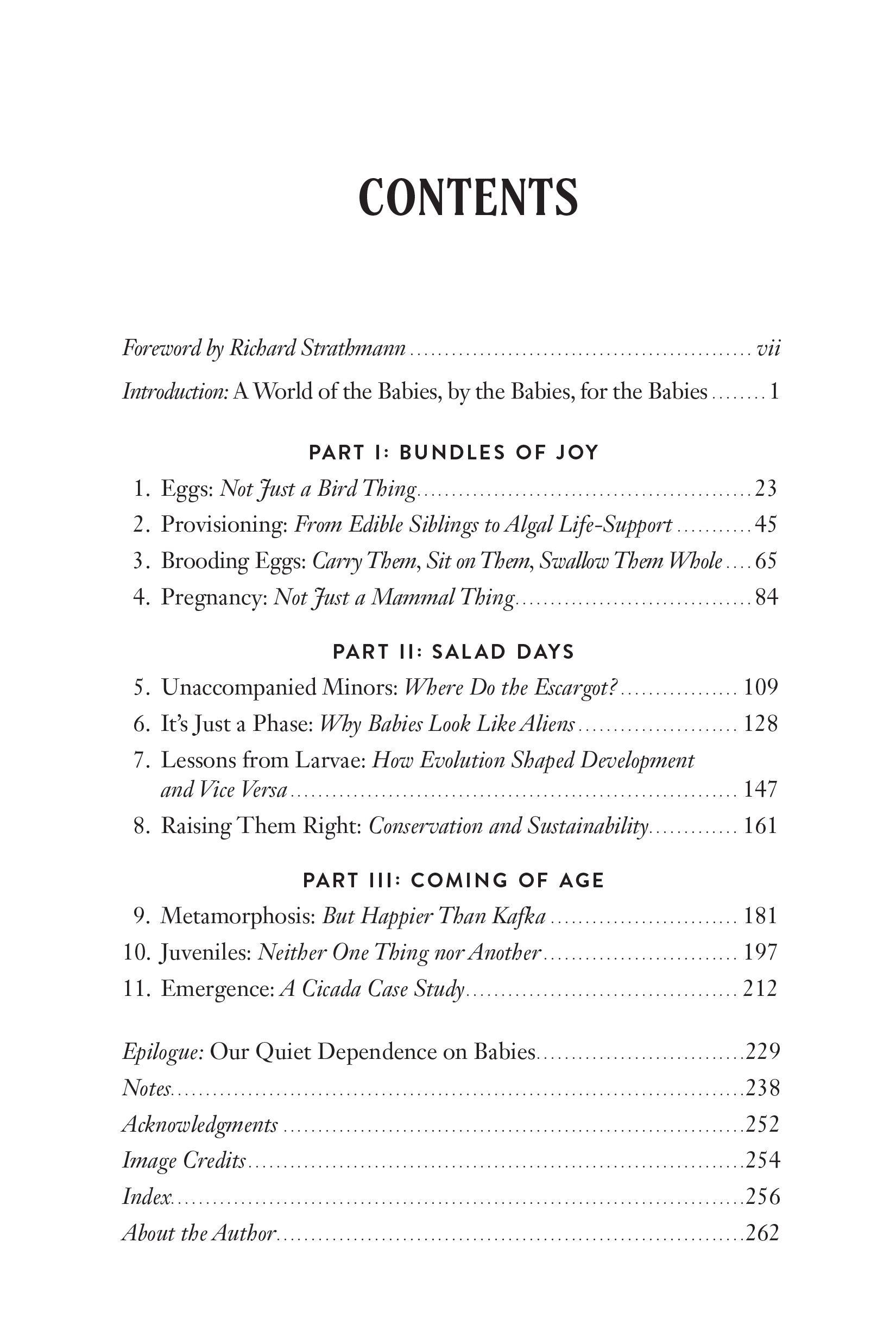 Beispielinhalt (Bild) Nursery Earth