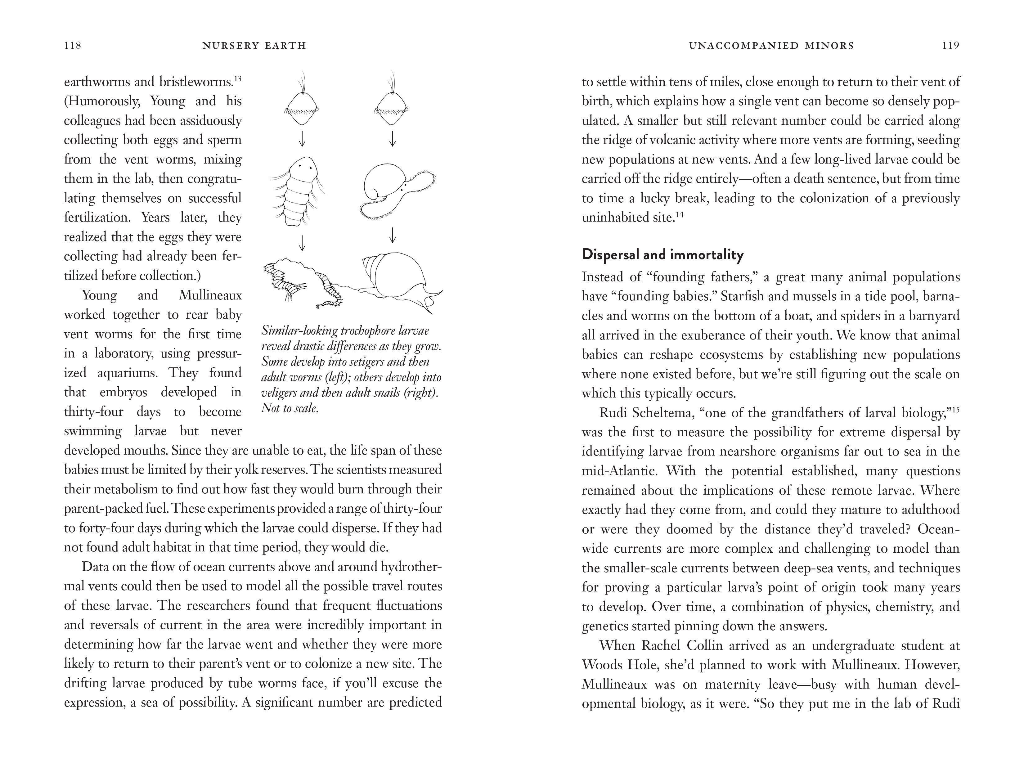 Beispielinhalt (Bild) Nursery Earth