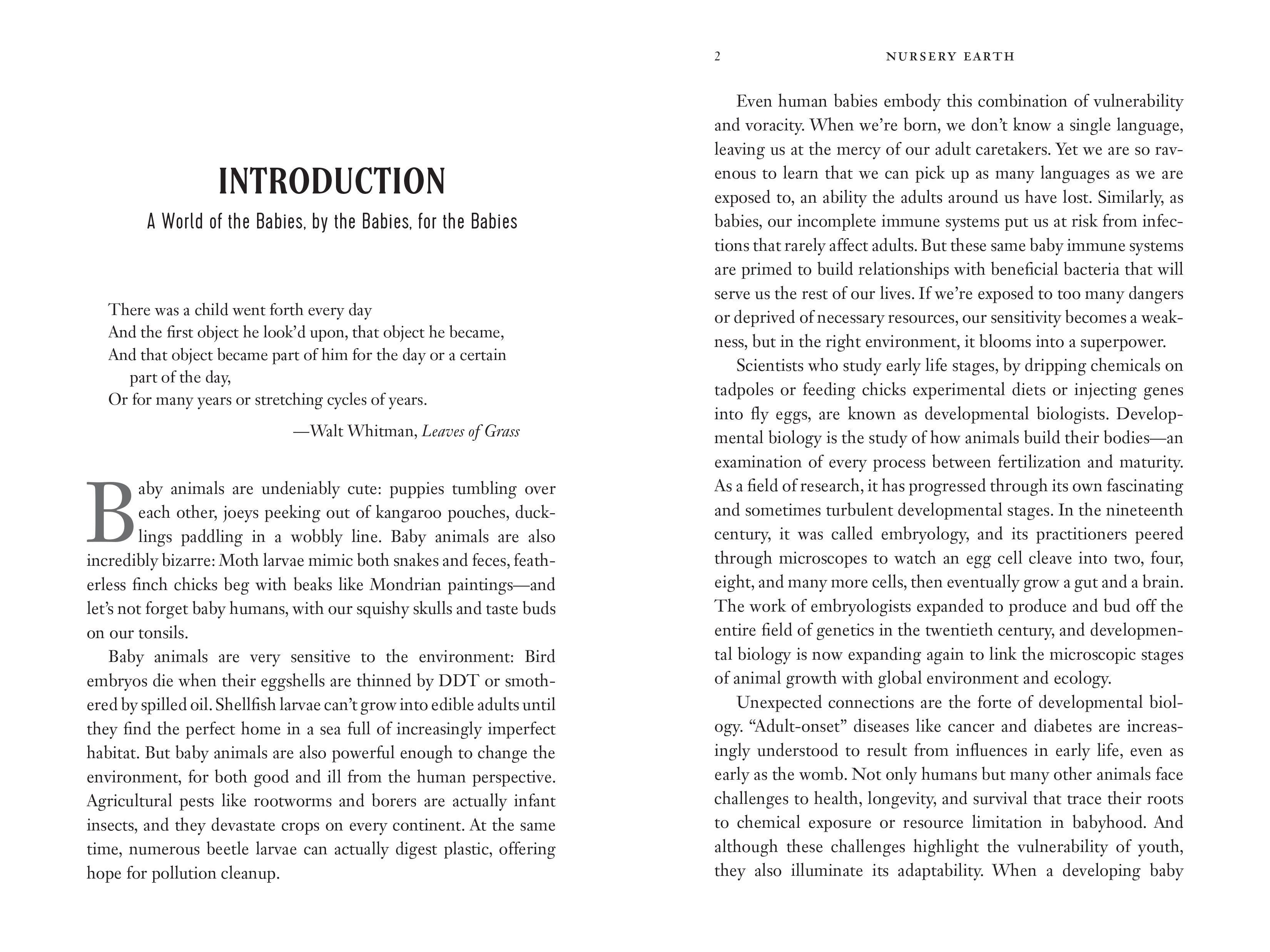 Beispielinhalt (Bild) Nursery Earth