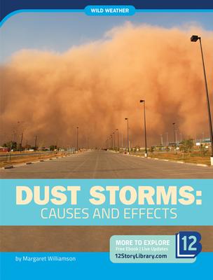 Vorderes Coverbild Dust Storms: Causes and Effects